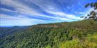 Canyon Lookout - Springbrook National Park - QLD T (PB5D 00 4259)